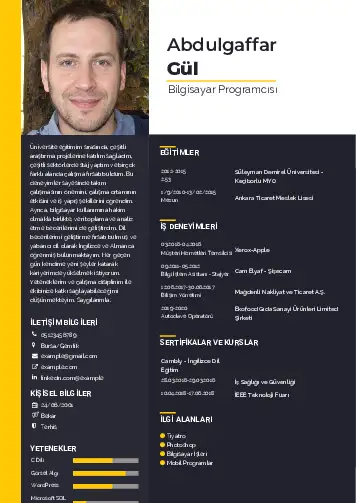 Bilgisayar Programcısı CV Örnekleri cv indir